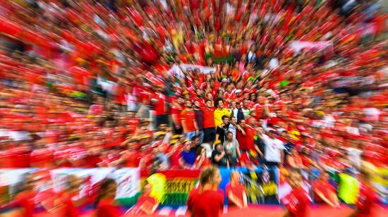 UEFA Euro 2016. Wales vs. Slovakia