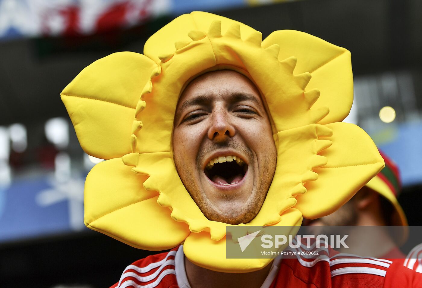 Football. UEFA Euro 2016. Wales vs. Slovakia