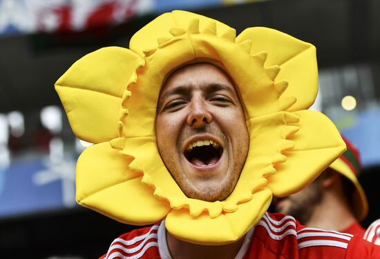 Football. UEFA Euro 2016. Wales vs. Slovakia