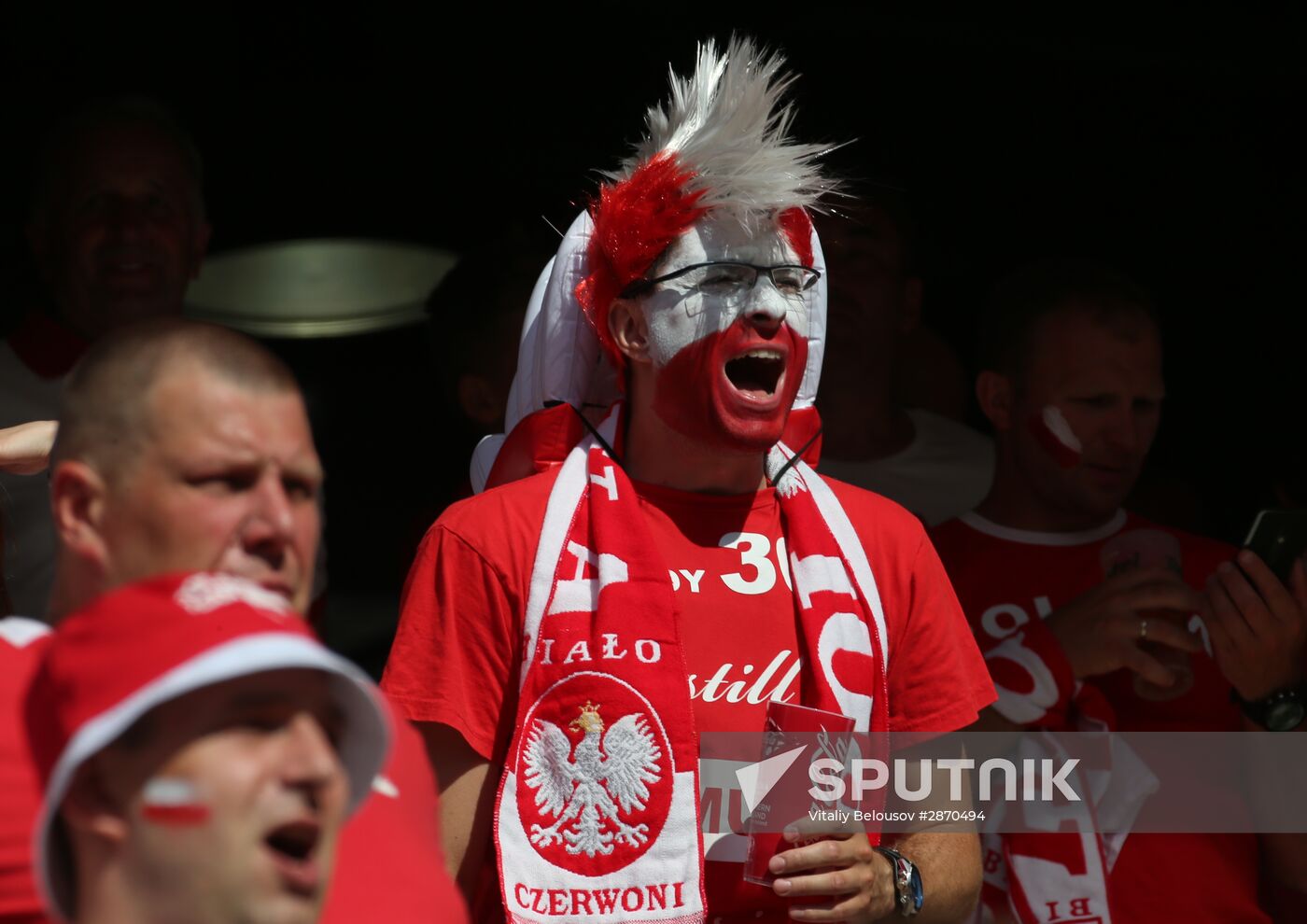 UEFA Euro 2016. Poland vs. Northern Ireland