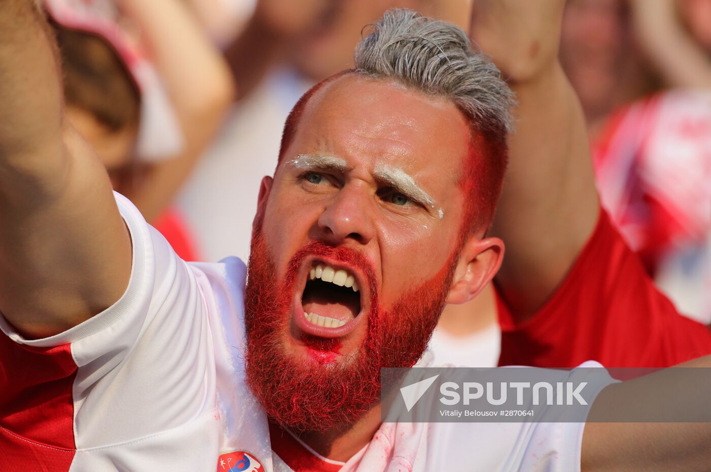 UEFA Euro 2016. Poland vs. Northern Ireland
