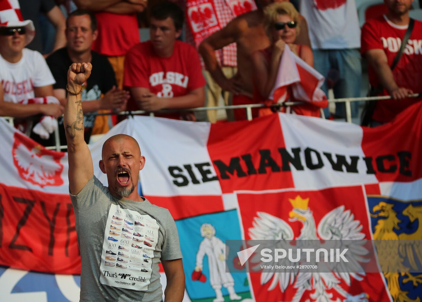 UEFA Euro 2016. Poland vs. Northern Ireland