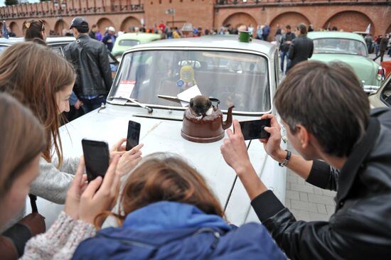 Avtostrada - 2016 international auto festival in Tula