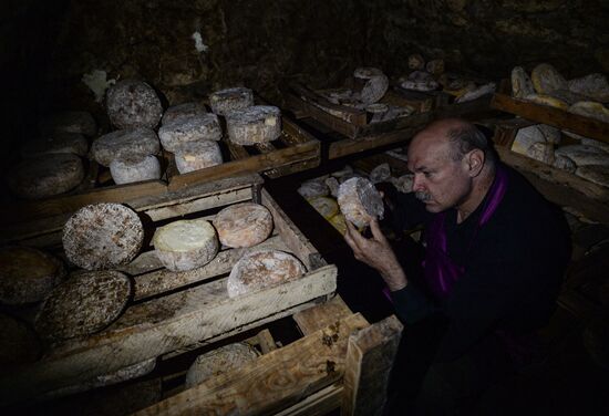 French cheese production at Vladimir Borev's Lipetsk Region farm