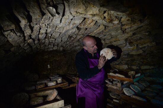 French cheese production at Vladimir Borev's Lipetsk Region farm