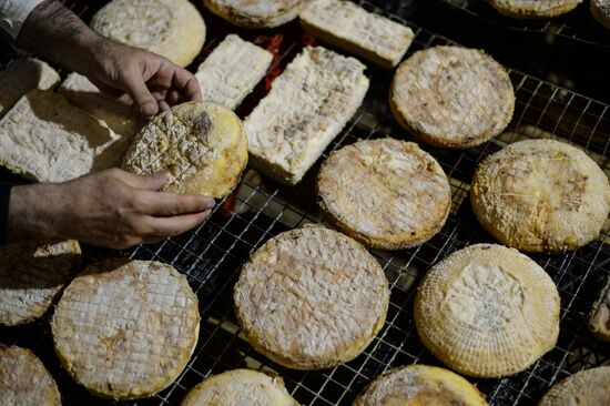 French cheese production at Vladimir Borev's Lipetsk Region farm