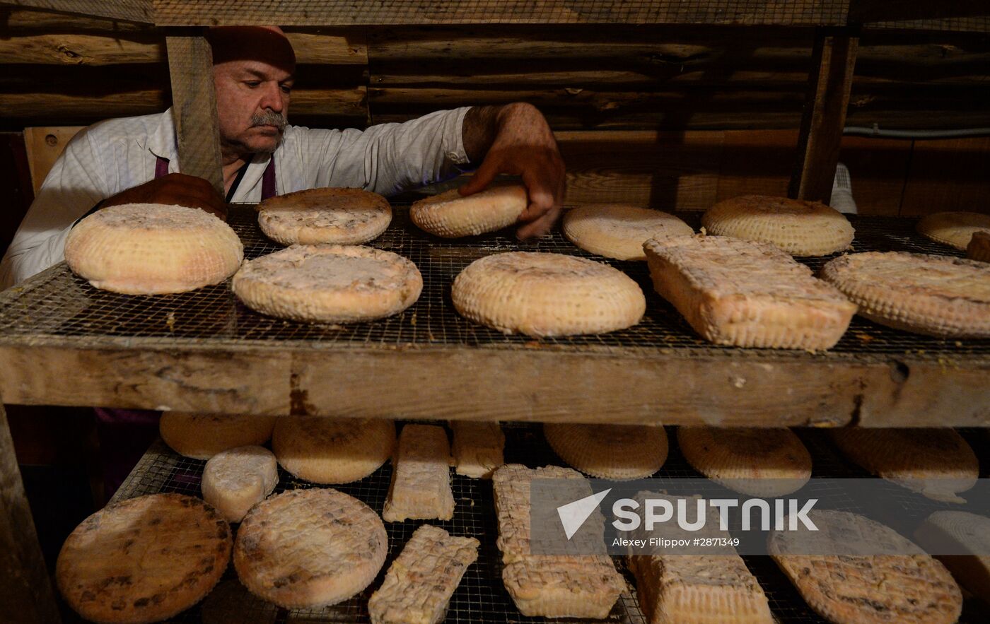 French cheese production at Vladimir Borev's Lipetsk Region farm