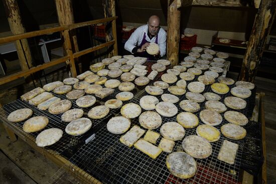 French cheese production at Vladimir Borev's Lipetsk Region farm