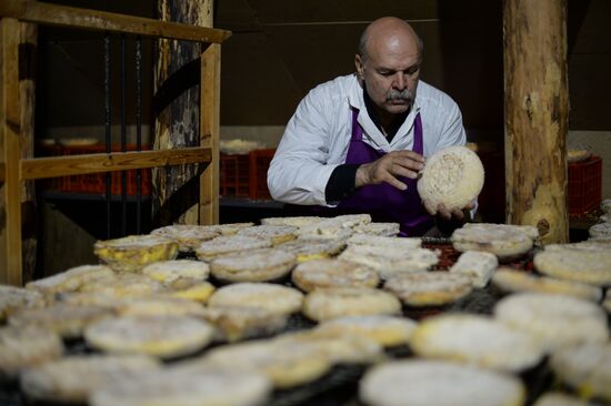 French cheese production at Vladimir Borev's Lipetsk Region farm