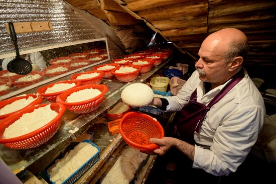 French cheese production at Vladimir Borev's Lipetsk Region farm