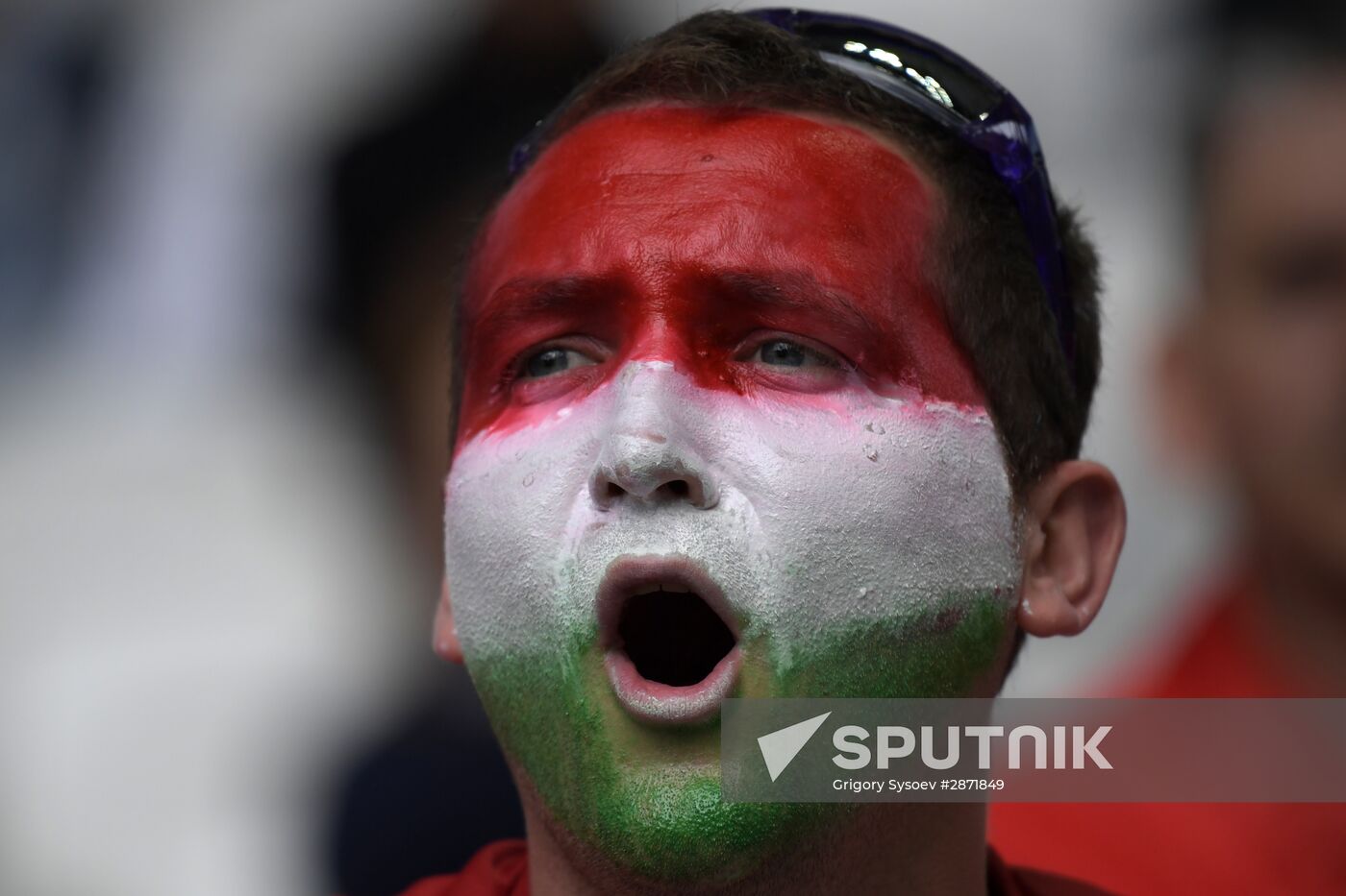UEFA Euro 2016. Austria vs. Hungary