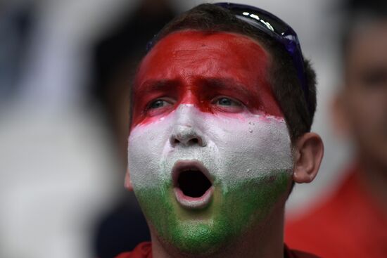 UEFA Euro 2016. Austria vs. Hungary