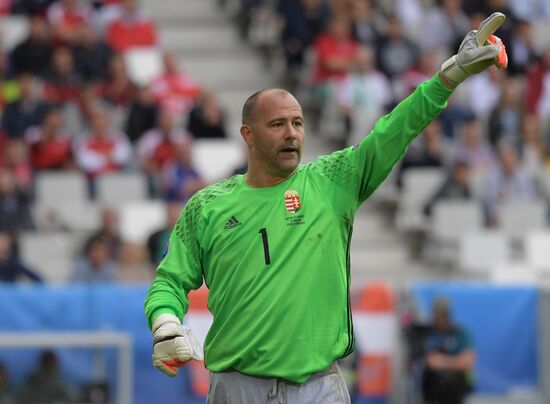 European Football Championship 2016. Austria vs. Hungary
