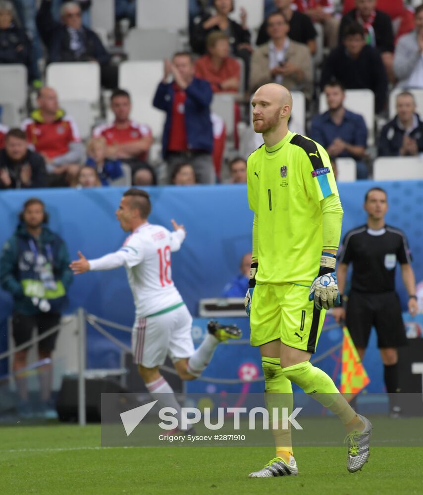 European Football Championship 2016. Austria vs. Hungary