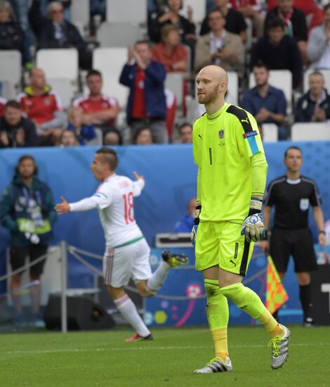 European Football Championship 2016. Austria vs. Hungary