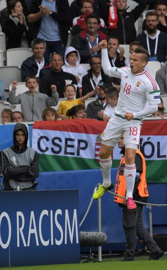 European Football Championship 2016. Austria vs. Hungary