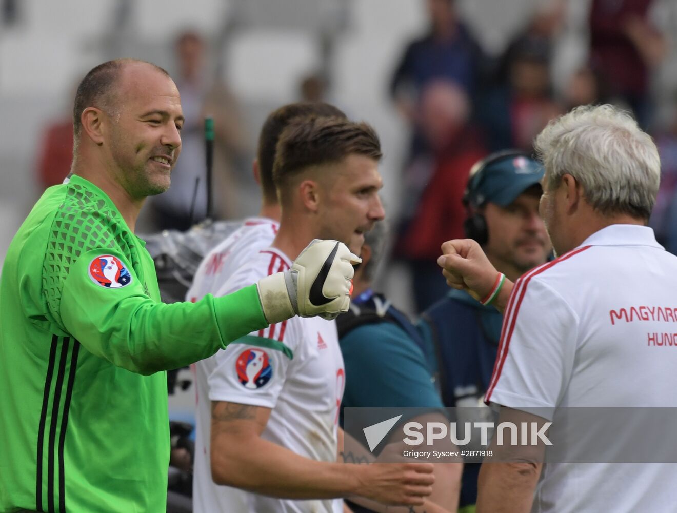 European Football Championship 2016. Austria vs. Hungary