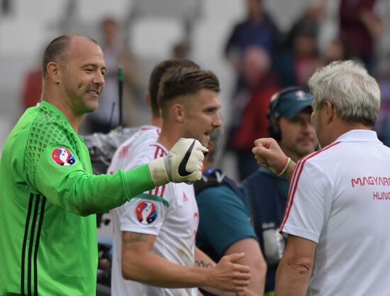 European Football Championship 2016. Austria vs. Hungary