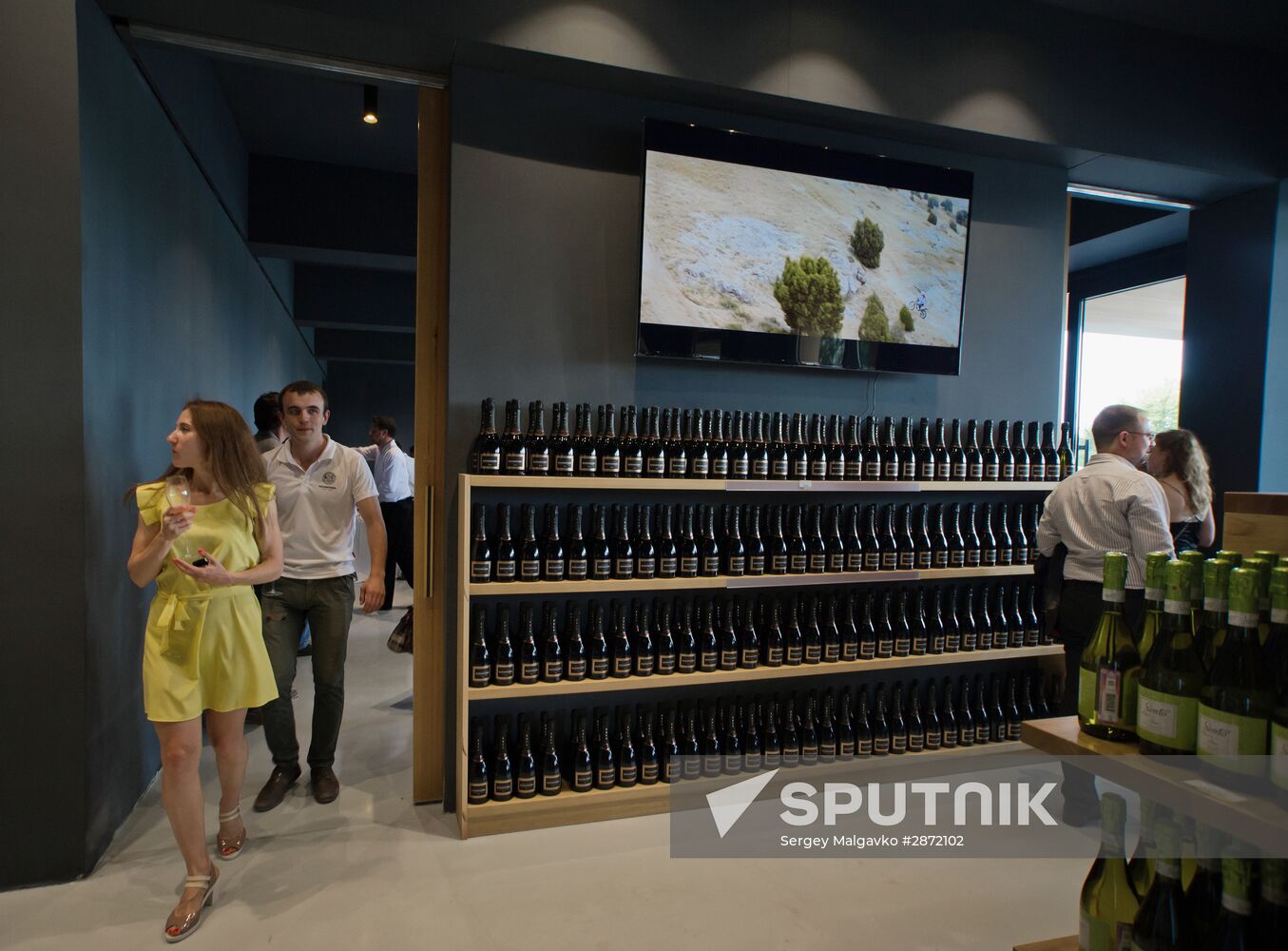 Zolotaya Balka champagne vineyard opens in Crimea