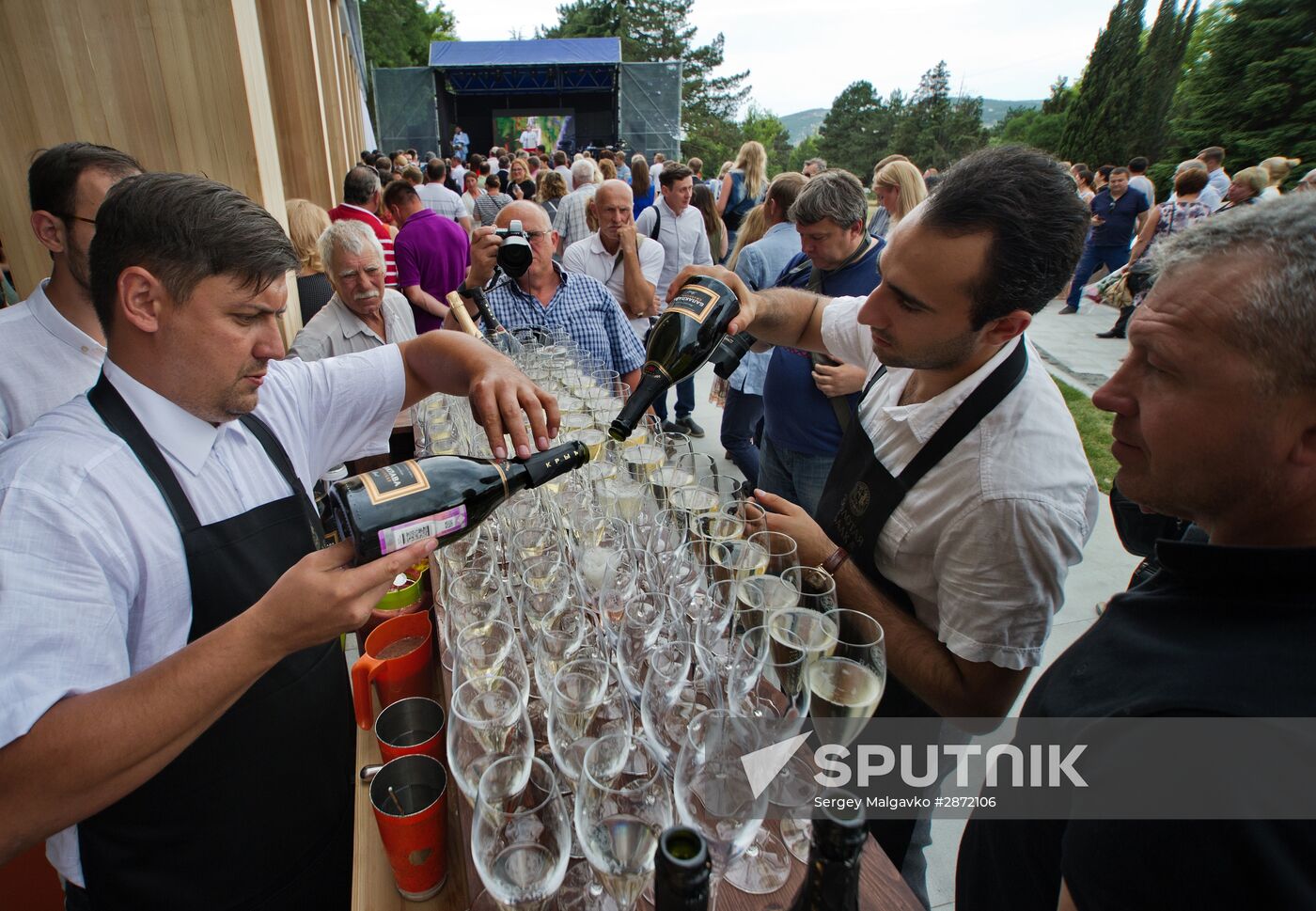 Zolotaya Balka champagne vineyard opens in Crimea
