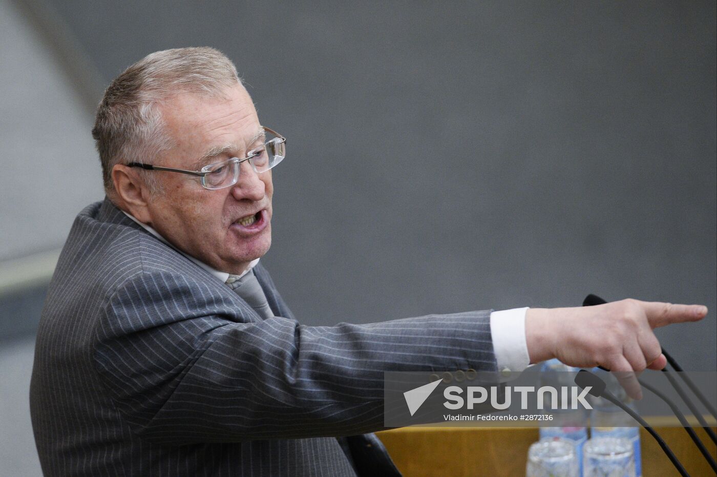 State Duma plenary session