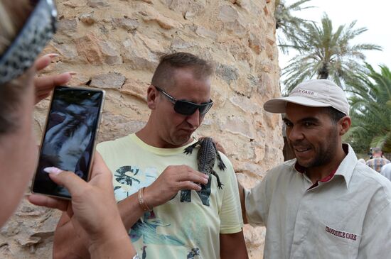 A crocodile farm on Djerba Island in Tunisia