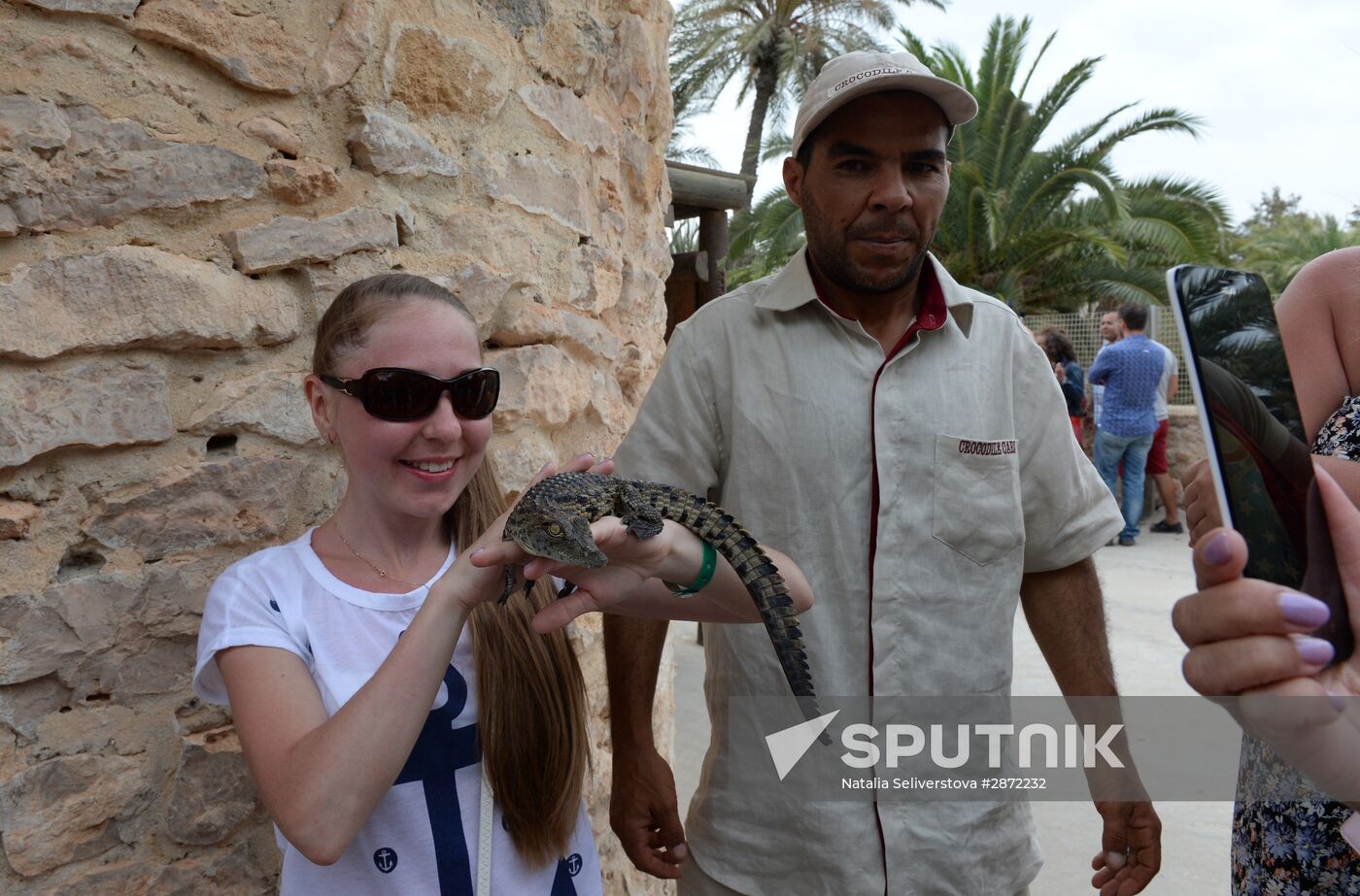 A crocodile farm on Djerba Island in Tunisia