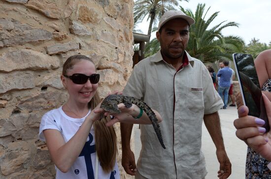A crocodile farm on Djerba Island in Tunisia