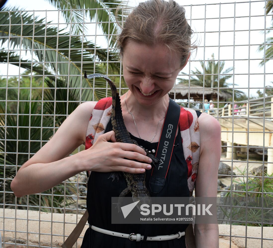 A crocodile farm on Djerba Island in Tunisia