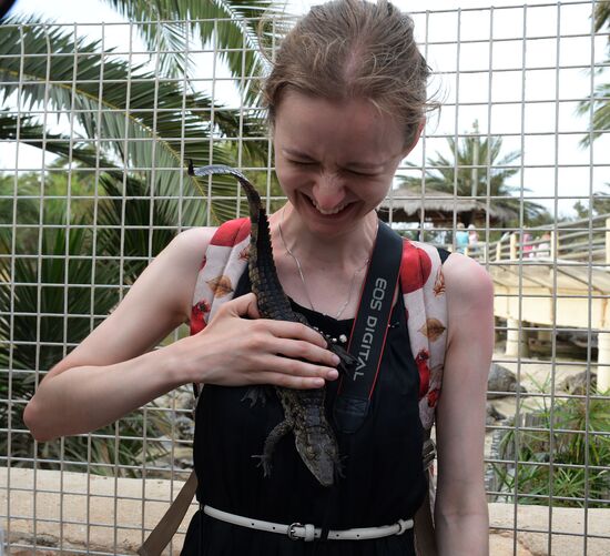 A crocodile farm on Djerba Island in Tunisia