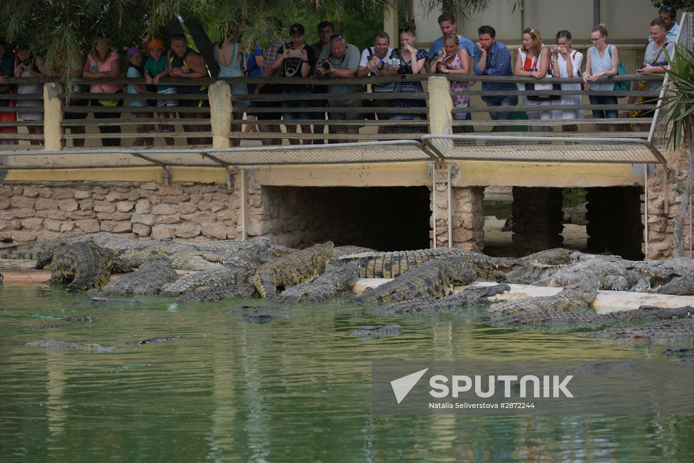 A crocodile farm on Djerba Island in Tunisia