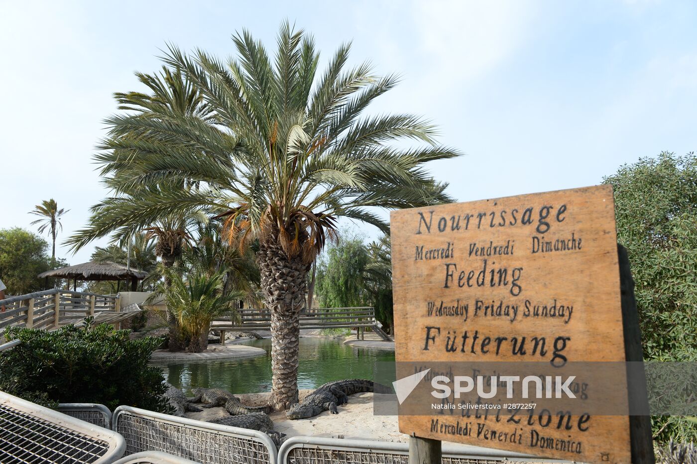 A crocodile farm on Djerba Island in Tunisia