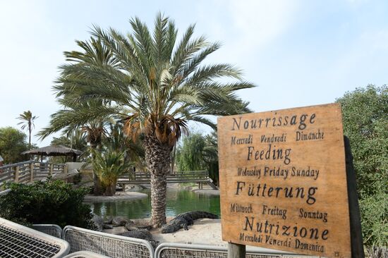 A crocodile farm on Djerba Island in Tunisia