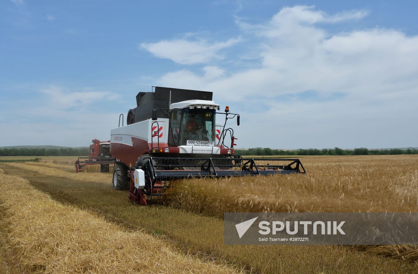 Harvesting in Chechnya