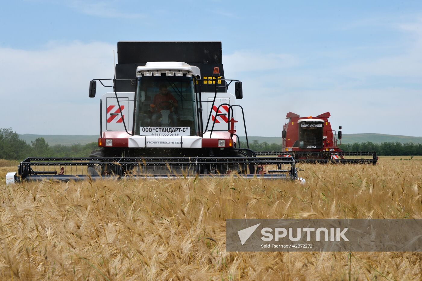 Harvesting in Chechnya