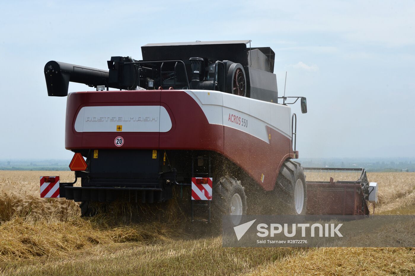 Harvesting in Chechnya