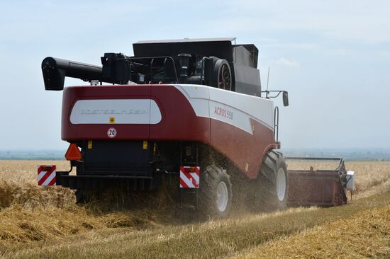 Harvesting in Chechnya