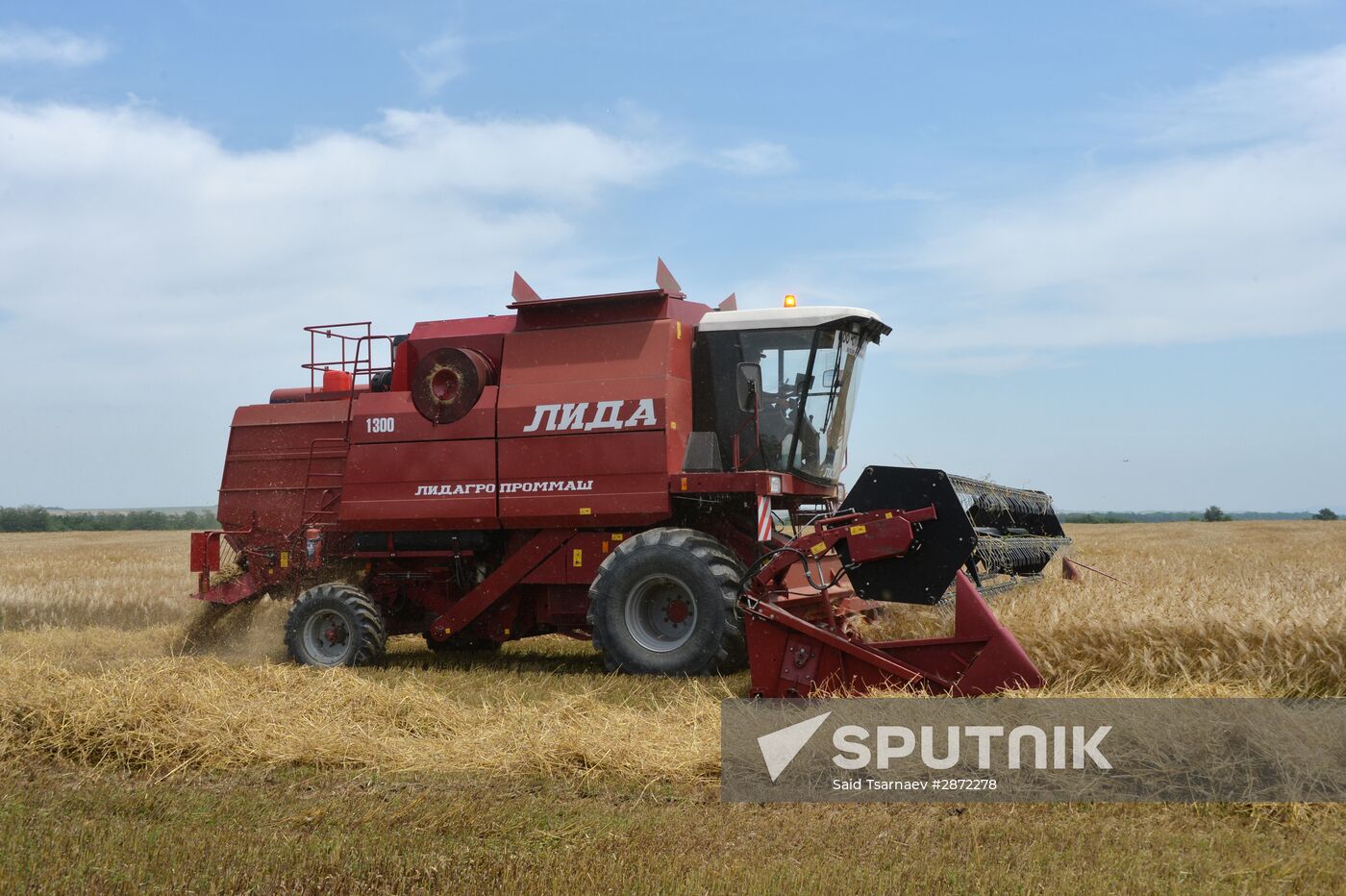 Harvesting in Chechnya