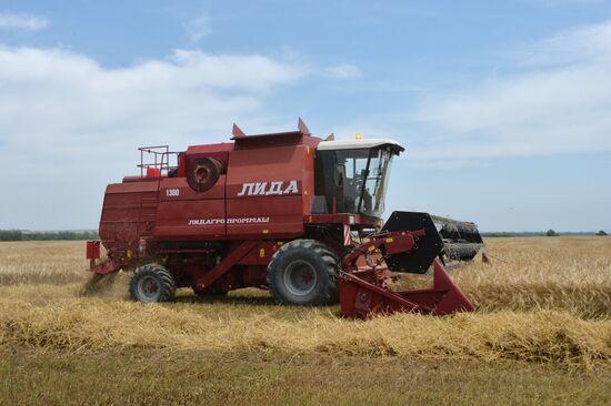 Harvesting in Chechnya