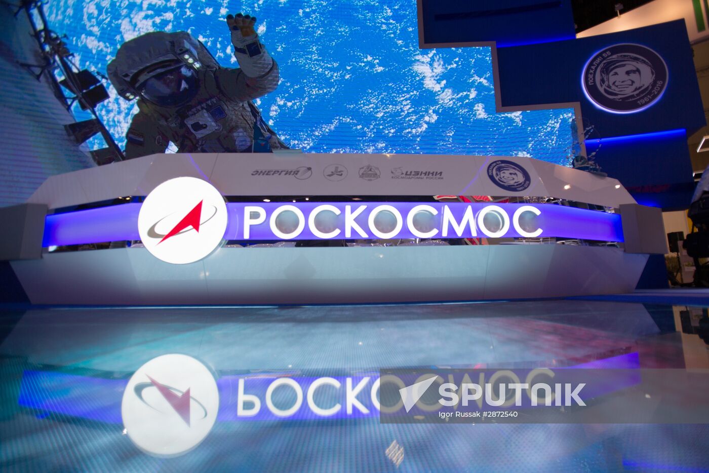 Preparations for St. Petersburg International Economic Forum's opening
