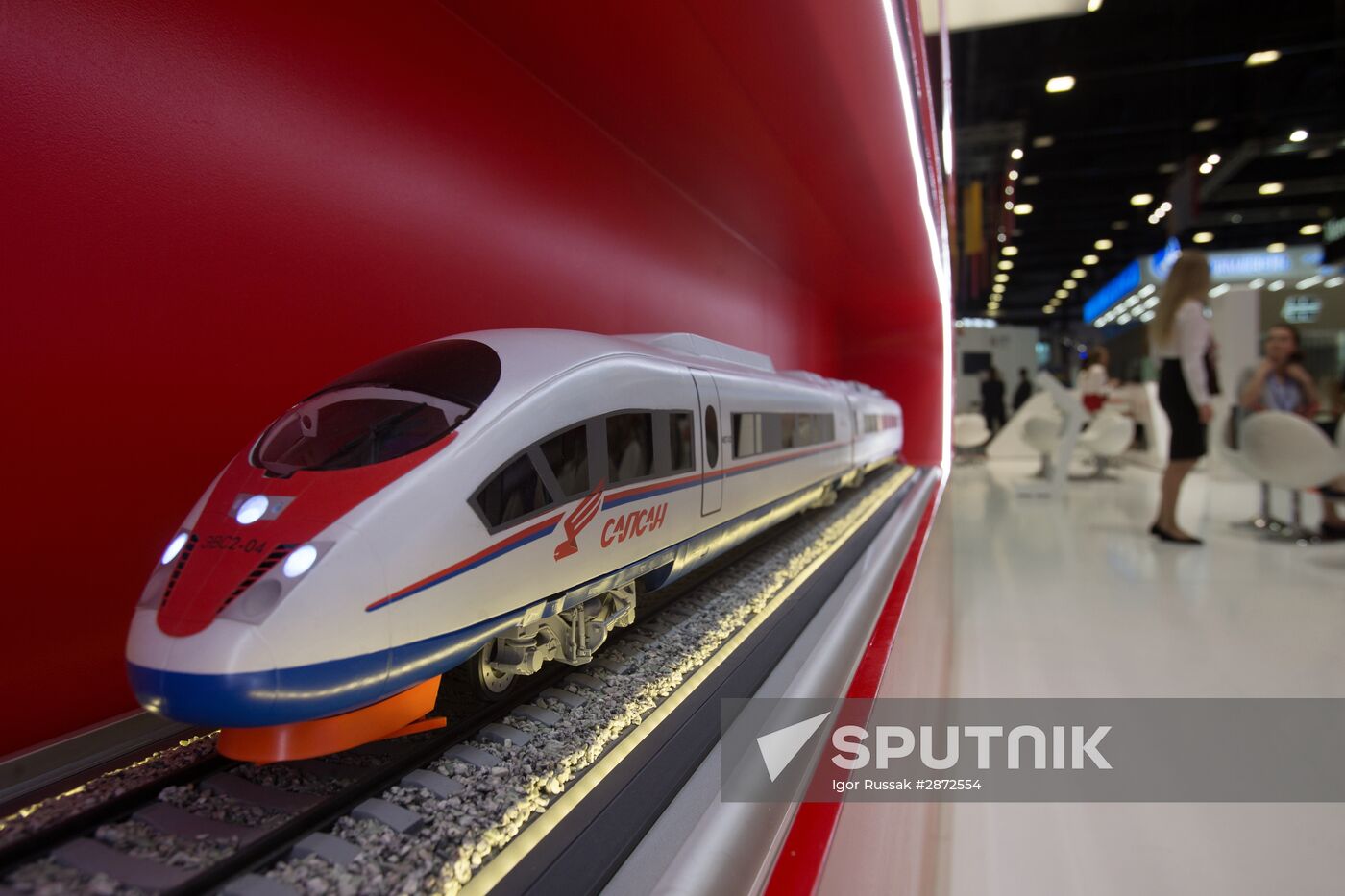 Preparations for St. Petersburg International Economic Forum's opening