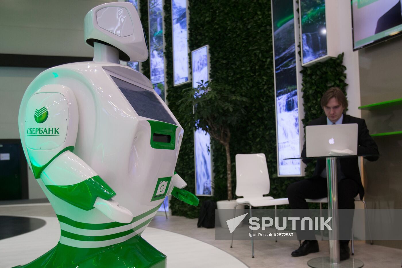 Preparations for St. Petersburg International Economic Forum's opening