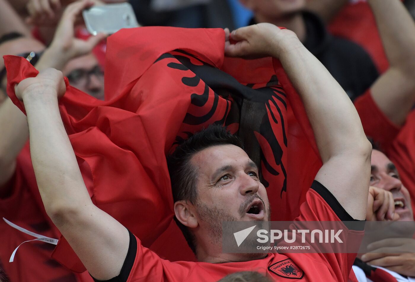 UEFA Euro 2016. France vs. Albania