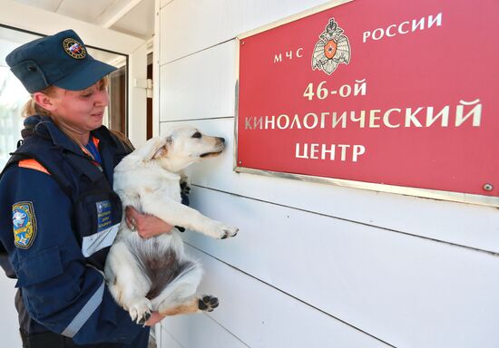 Emergencies Ministry Canine Center