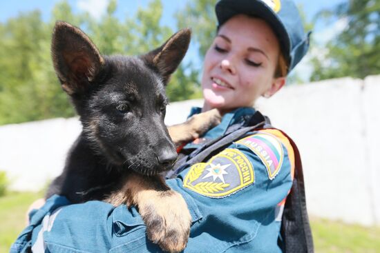 Emergencies Ministry Canine Center