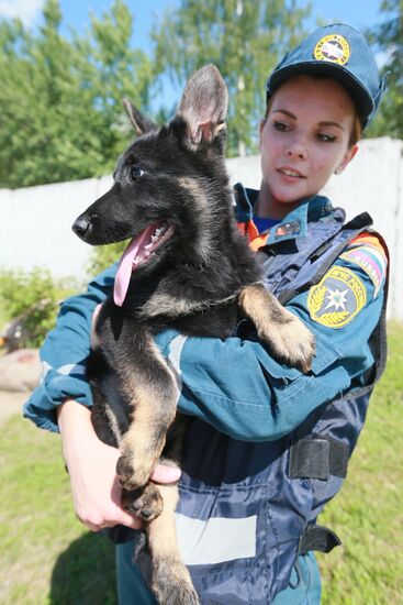 Emergencies Ministry Canine Center