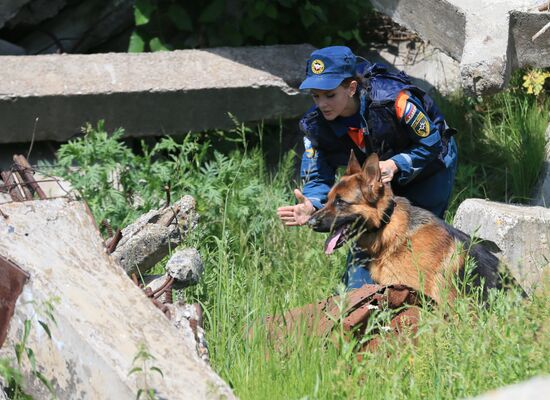 Emergencies Ministry Canine Center