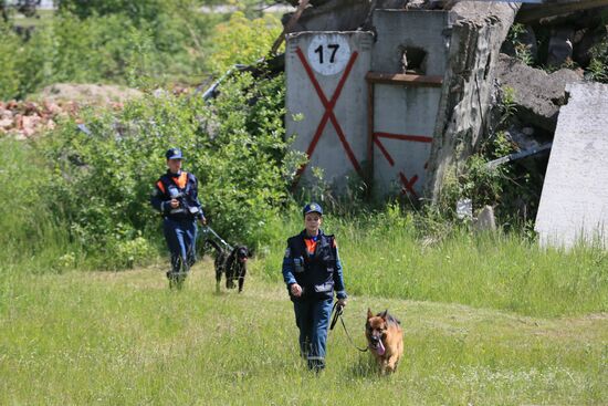 Emergencies Ministry Canine Center