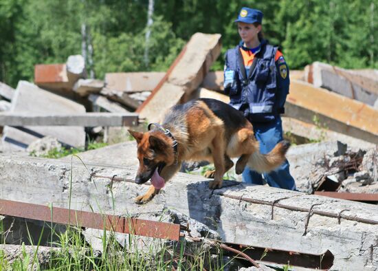 Emergencies Ministry Canine Center