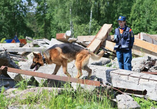 Emergencies Ministry Canine Center